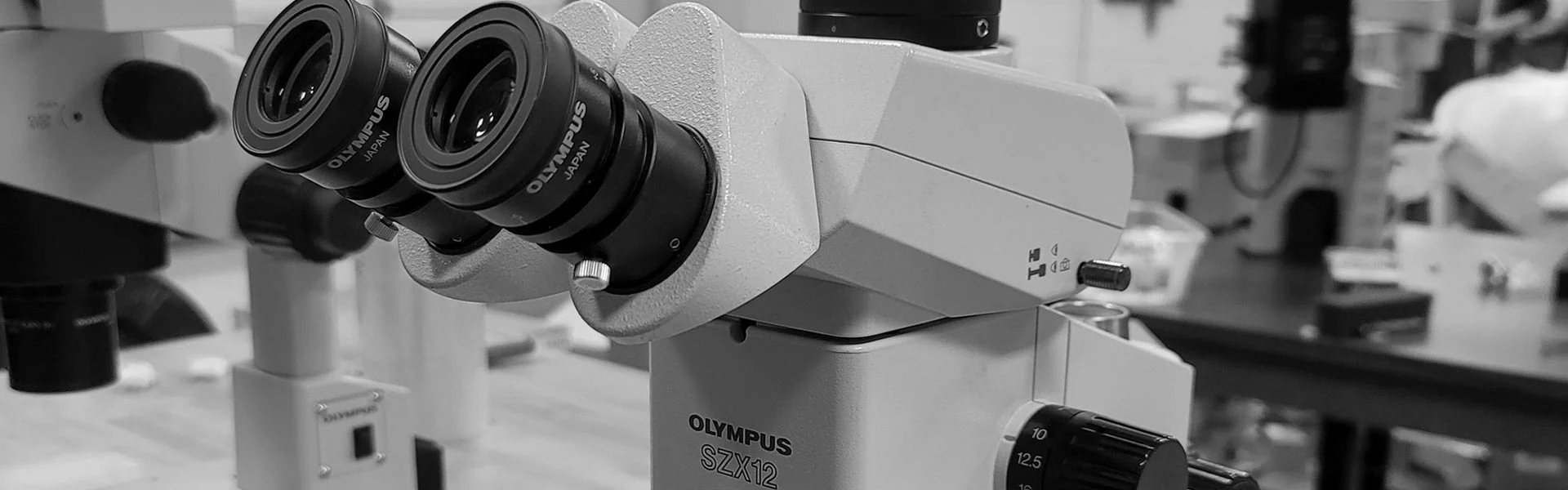 Precision Optics for Pathology Professionals